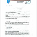 Popesti Leordeni - str .Viilor